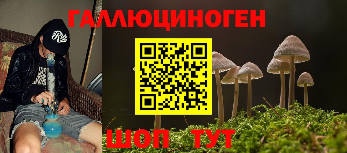 Псилоцибиновые грибы MAGIC MUSHROOMS Городец