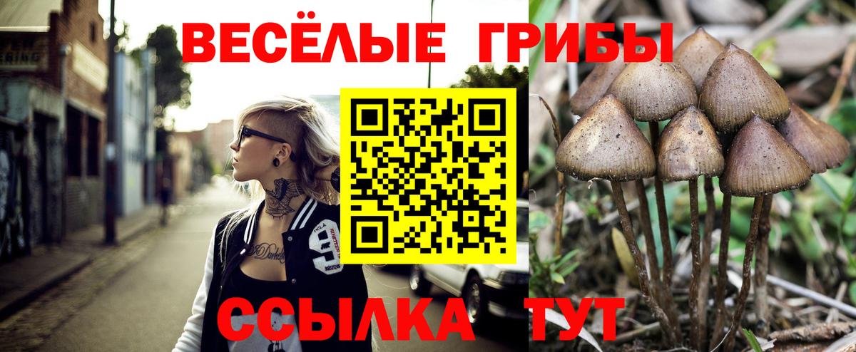 Галлюциногенные грибы MAGIC MUSHROOMS  Вход с VPN  где купить наркоту  Псилоцибиновые грибы ЛСД  Городец 